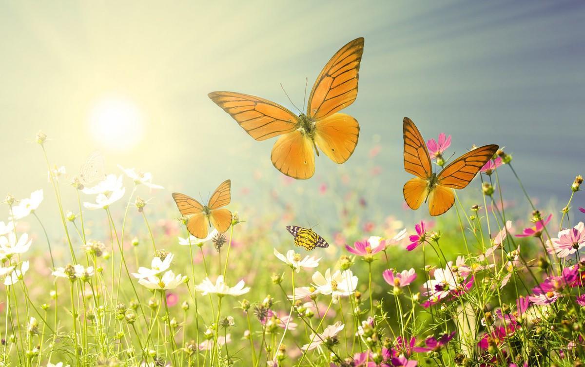 DNF雨落忧伤最新装备指南,全方位解读最新装备选择